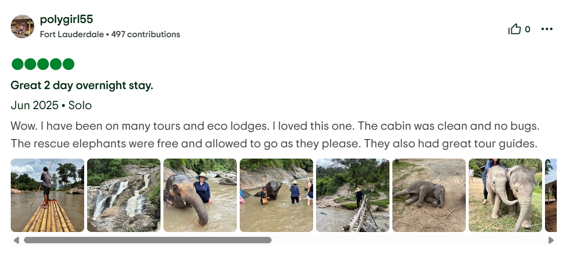 pon elephpant chiangmai thailand reviews